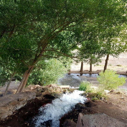 چشمه های ابیانه