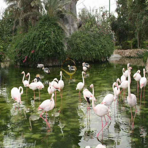 باغ پرندگان ناژوان پارک معروف اصفهان