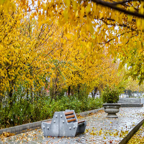 زیباترین خیابان اصفهان-چهارباغ